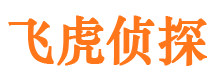 汝南市侦探